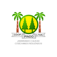 Cooperativa Pindo LTD