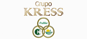 GRUPO-KRESS-300x135
